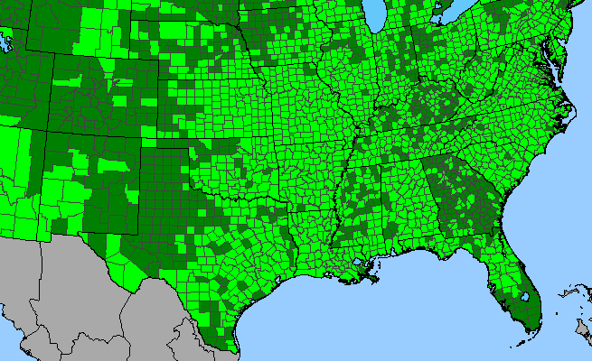 The range of Triodanis perfoliata